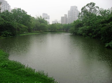 Kim's View in Taipei, Taiwan 2014