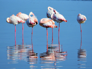 Sandwich Harbour, Namibia