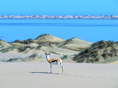 Sandwich Harbour, Namibia