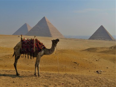 Pyramids of Giza, Egypt