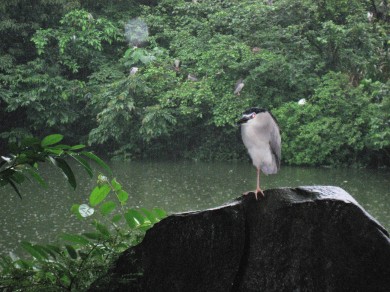 Kim's View in Taipei, Taiwan 2014