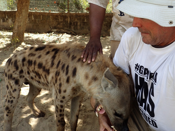 "Take it easy girl!" Abuko Nature Reserve near Banjul, Gambia
