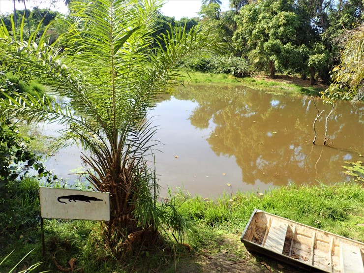 Abuko Nature Reserve near Banjul, Gambia