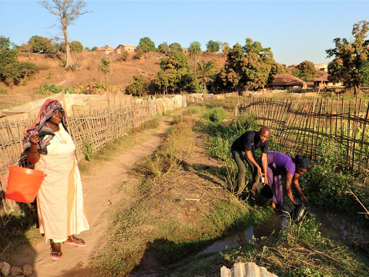 Bafata, Guinea-Bissau