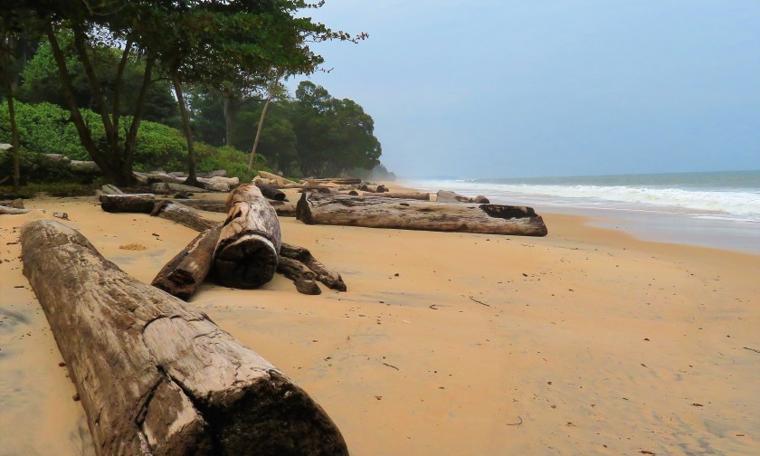 Pointe Ngombe, Gabon