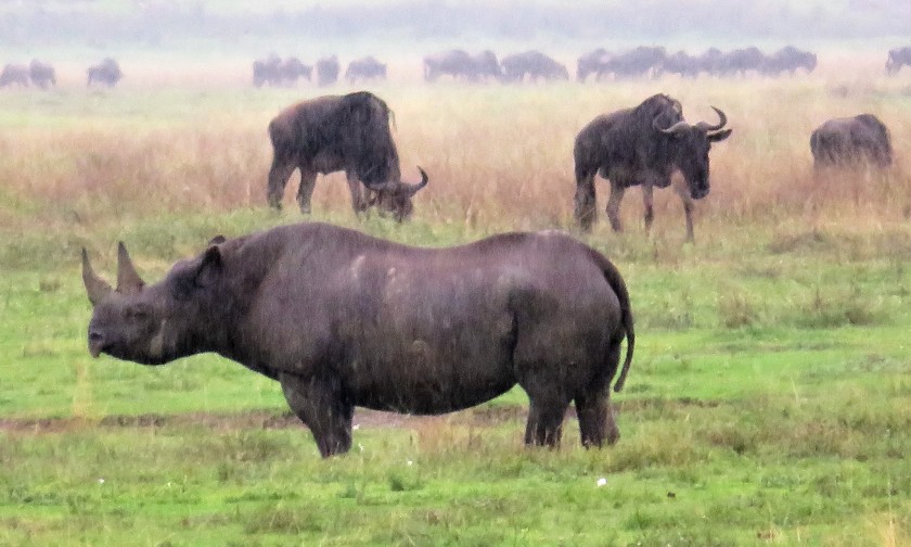 Ngorongoro Conservation Area, Tanzania