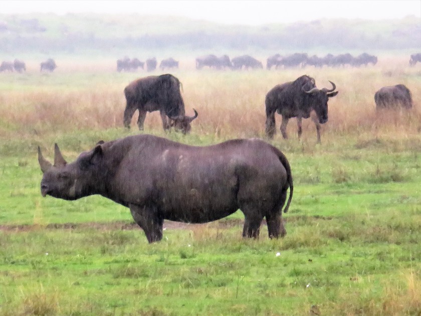 Ngorongoro Conservation Area, Tanzania