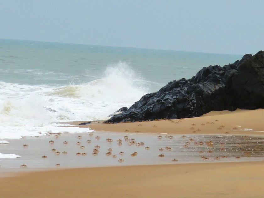 Kim's View from the Pointe Ngombe lighthouse near Libreville, Gabon