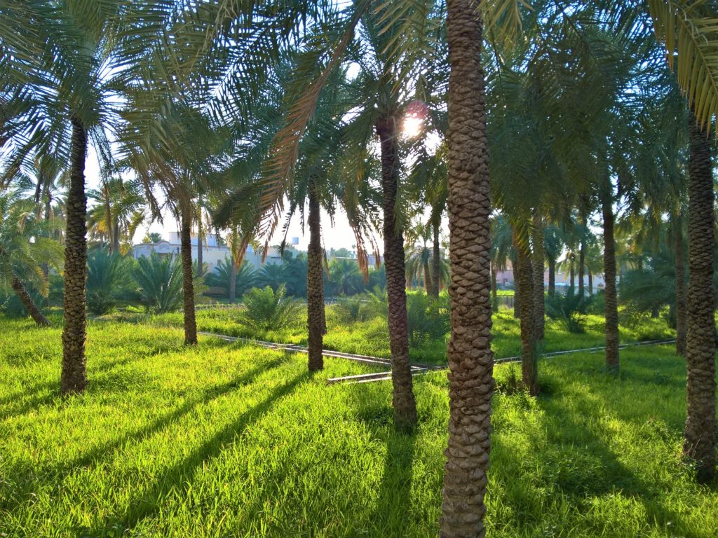 OMAN
