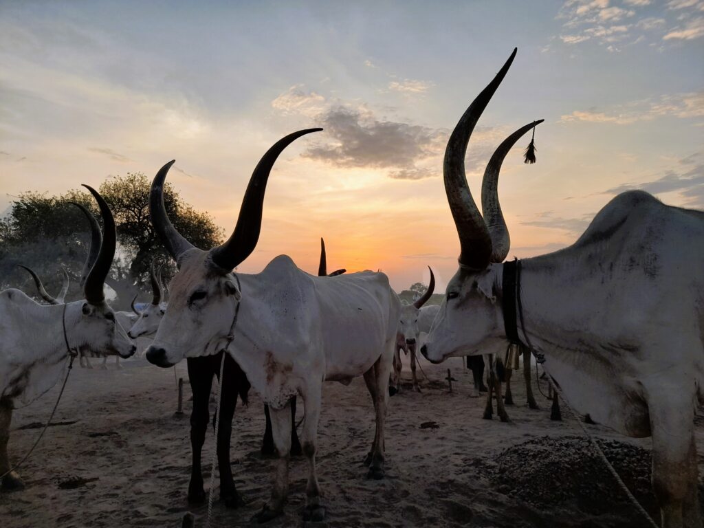 Mundari people near Juba, South Sudan